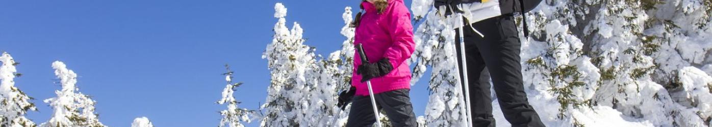 Le Grand Bornand - article blog