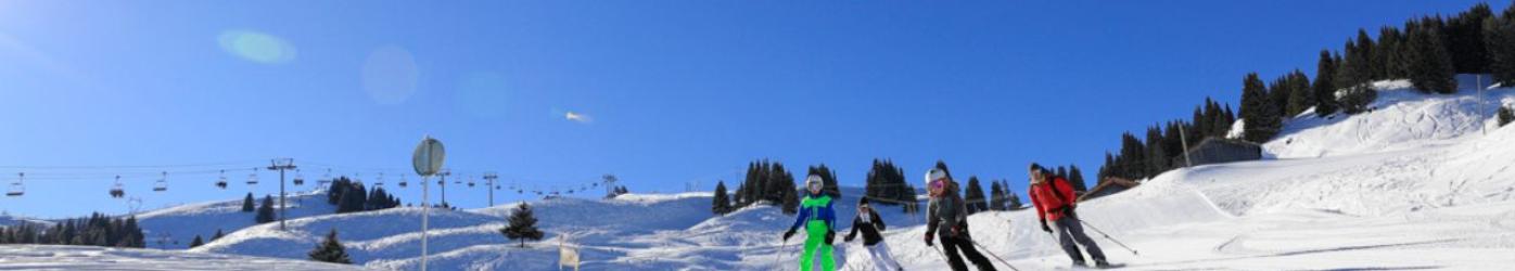 Morillon - blog