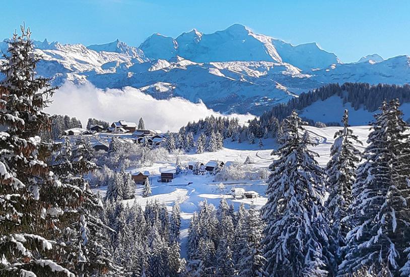 Location ski Praz de Lys